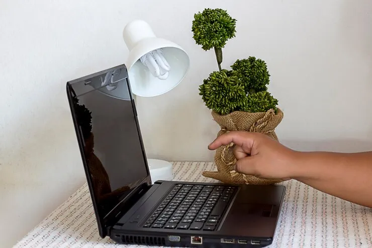 Natural and Home-Based Methods